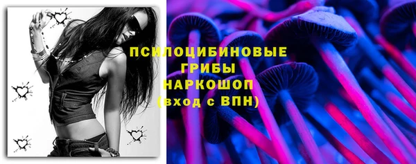 стаф Дмитров