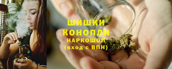 гидропоника Болохово