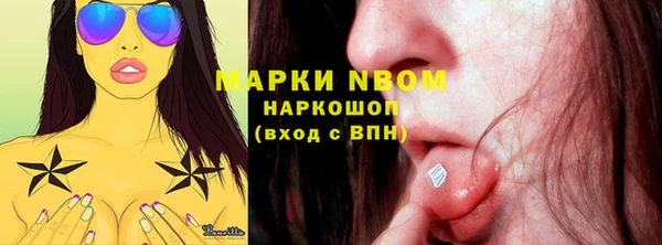 стаф Дмитров
