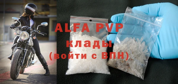 стаф Дмитров
