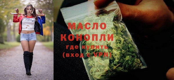 стаф Дмитров