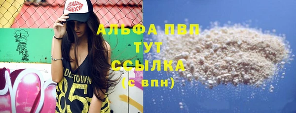 стаф Дмитров