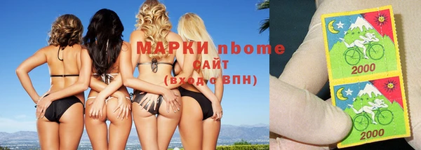 стаф Дмитров