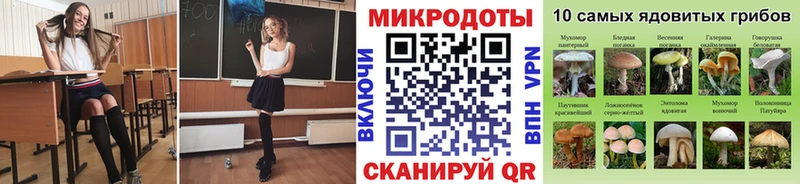 Галлюциногенные грибы Psilocybe  где купить наркоту  omg ссылка  Звенигород 
