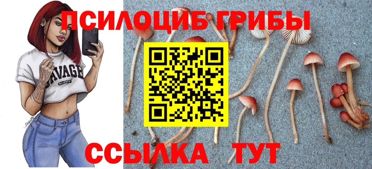Галлюциногенные грибы мицелий Звенигород